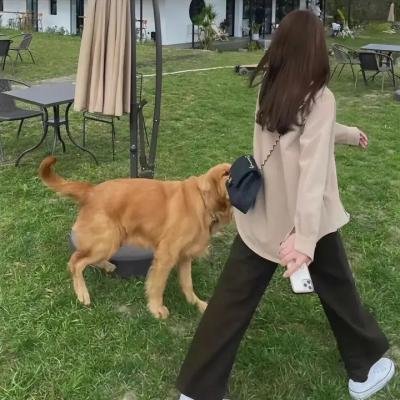 综艺现场